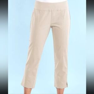 NWT! Fresh Produce Sophia Capri Pants in Washed Khaki Women's Size Small